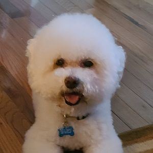 Meet your Posher, Ann